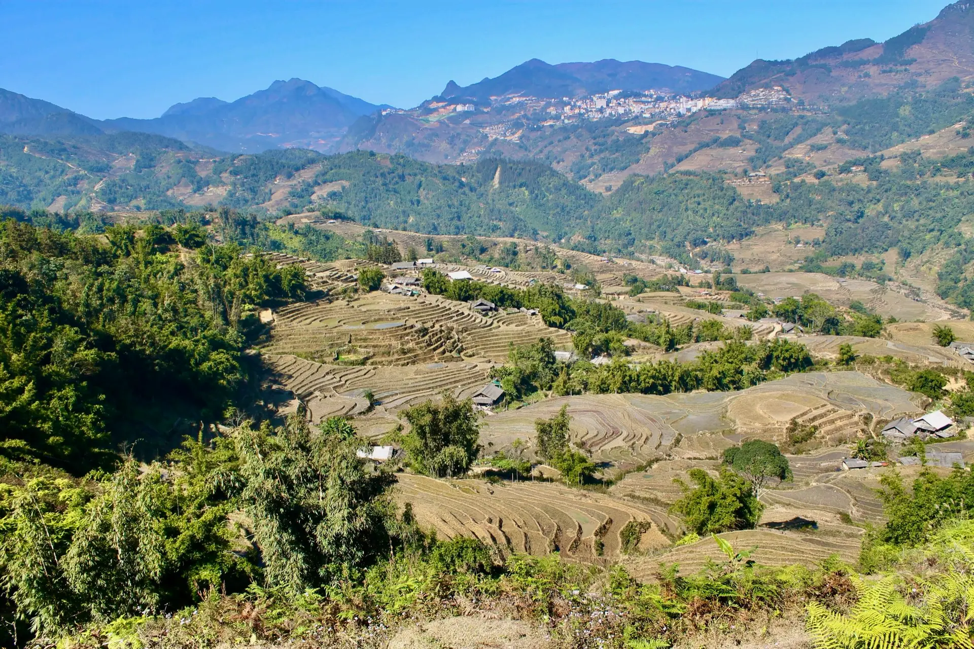 Rizières en terrasses et montagnes de la vallée de Sapa, au nord du Vietnam
